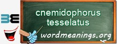 WordMeaning blackboard for cnemidophorus tesselatus